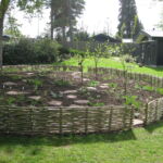 Et viduderligt urte- og plantebed blev omkranset af et smukt lavt vandret flettet pilehegn.