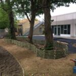 Smukt nyrer formet hegn udført med pilesorten Engelsk Viminalis Smukt nyrer formet hegn udført med pilesorten Engelsk Viminalis