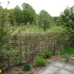 Pilesorten Engelsk Viminalis er her anvendt som en smuk afskærmning mellem havenerne hvor udsigten til de smukke omgivelser er bevaret