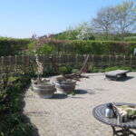 Det vandrette pilehegn som omkranser hele den smukke terrasse i Kalundborg, giver både rigtig god læ, og passer meget naturligt til omgivelserne. Pilesorten er Engelsk Viminalis.