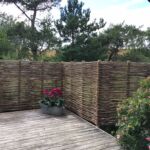 Meget smuk og harmonisk hegn ved terrassen i sommerhuset som både giver læ og hindre indkik fra forbipasserende. Pilesort: Engelsk Viminalis.