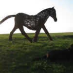 Vores hund, Gizzmo nyder samværet med den smukke hest i pileflet.