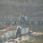 Opførelsen af det vandrette pilehegnet ved Kronborg slot er i gang.