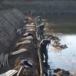 Egestolperne sættes i jorden så de er klar til at blive flettet på.