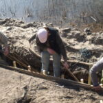 Vi kunne godt bruge lidt mere plads til at flette pilehegnet omkring Kronborg slot.