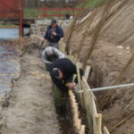 3-års pilen, som flette i det vandrette hegn står klar flere forskellige steder.