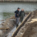 Ser pilehegnet fint ud?