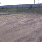 Den 1 april 2005 blev dette golde jordstykke med klasse 4 jord tilplantet med pil