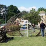 Bundter af mange forskellige sorter af opblødet pil er klar til at blive flettet.