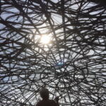 Vidunderligt lysindfald gennem pilehytten.