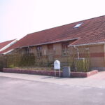 Helt nyetableret hegn, som snart står helt grønt og tæt dækket af blade.