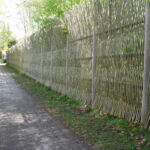 Det smukke lodrette pilehegn omkranser hele grunden i Tisvilde.