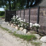 Sortmalede stolper og overlligerne på pilehegnet fremhæver pilens flotte farver.