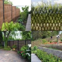 pilehegn i forskellige scenarier