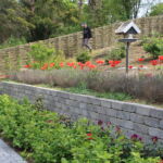 Smukt vandret pilehegn opsat så det følger terrænet. 3-års pil af pilesorten Engelsk Viminalis er anvendt.