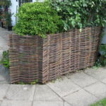 Pilesorten Kanelpil er anvendt til hegnet.