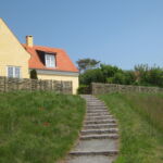 Vandret pilehegn opsat i Tisvilde efter grundens udformning.