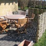 Buede vandret pilehegn har en blød form og skaber god læ.