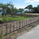 Pilehegnet er opført i Hellebæk, hvor pilesorten Engelsk Viminalis er anvendt.