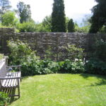 Dejligt pilehegn til adskillelse mellem to nabogrunde.