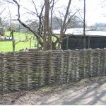 Billeder af vandret pilehegn med forskellige karakterer.