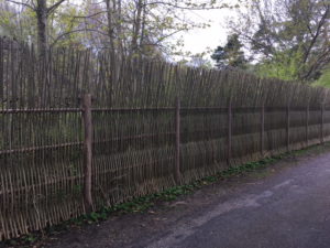 Smukt lodret pilehegn opført i Tisvilde med 3-årige pilestokke, som harmonerer flot med den omkringliggende natur.
